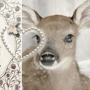 Meet your Posher, Canciones